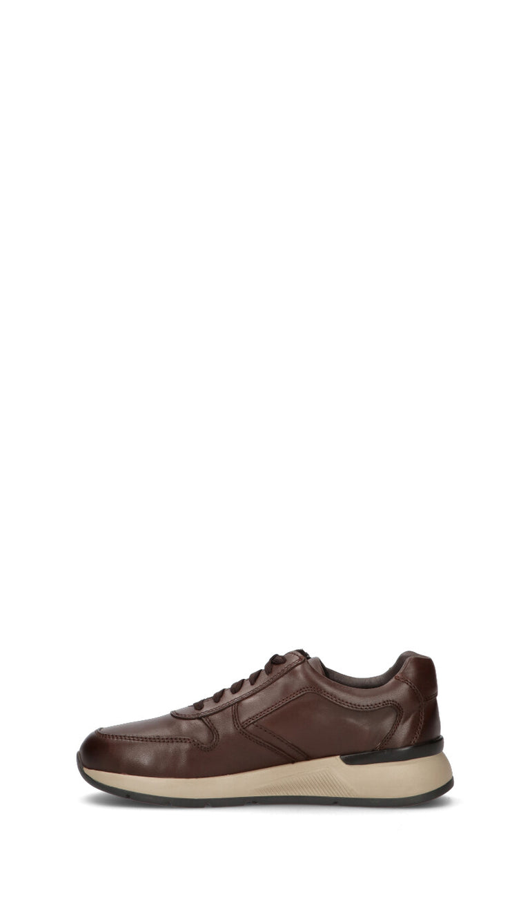 GRAFIA Sneaker uomo marrone in pelle
