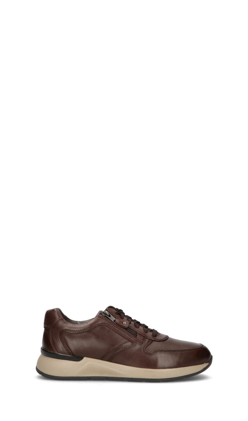 GRAFIA Sneaker uomo marrone in pelle