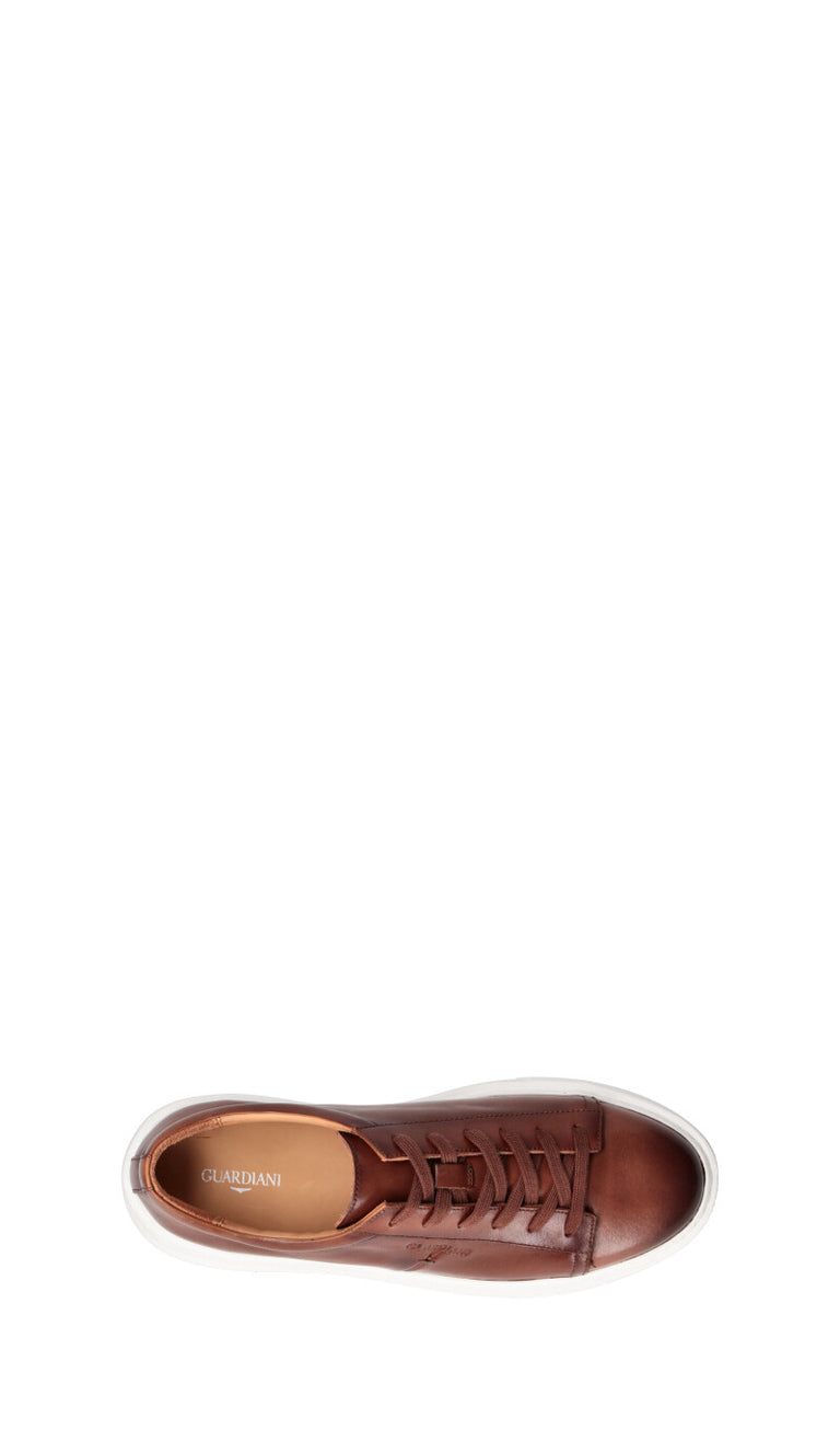 ALBERTO GUARDIANI Sneaker uomo marrone in pelle