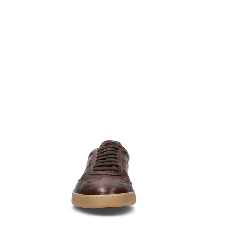 STURLINI Sneaker uomo cioccolato in pelle