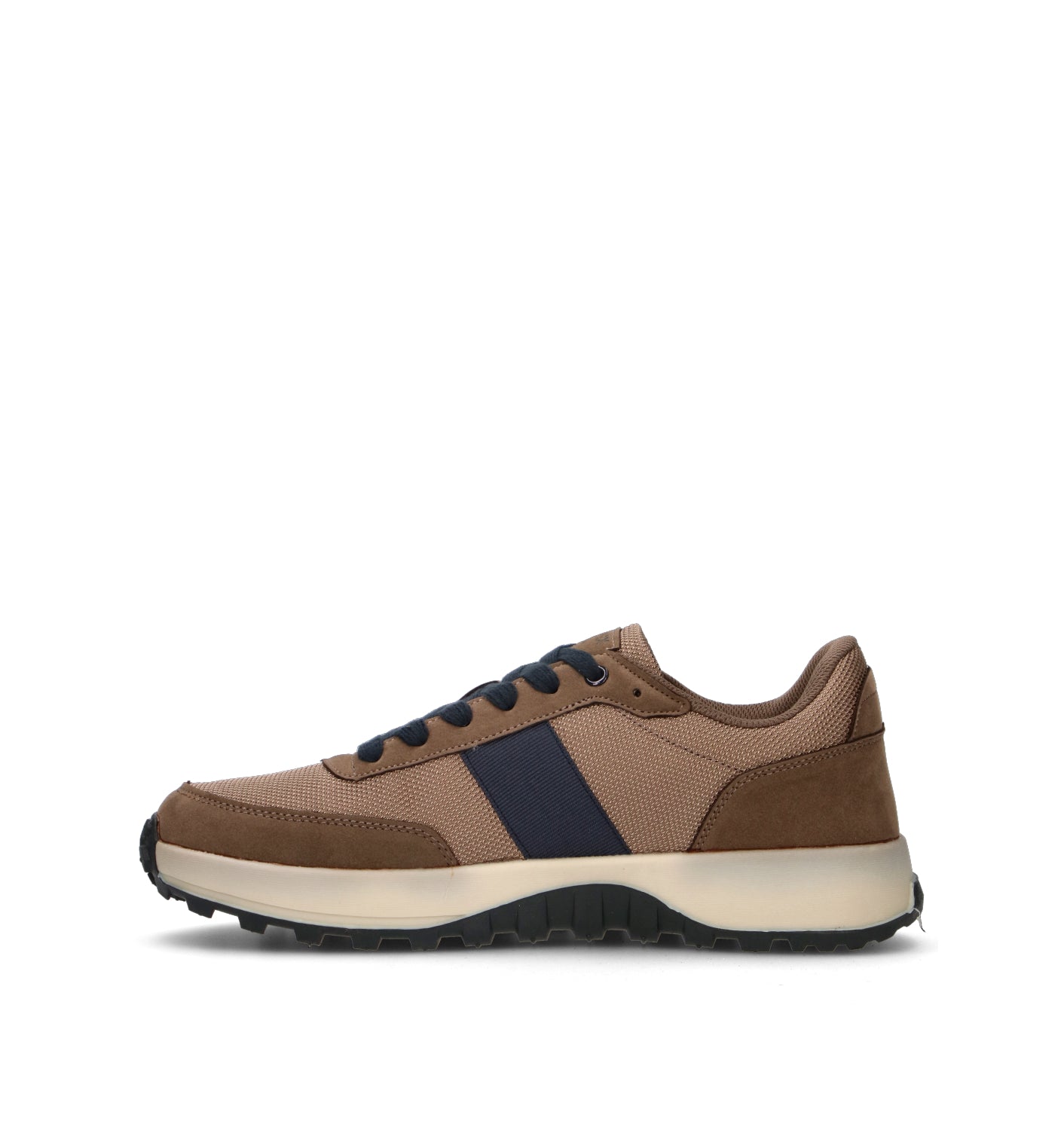 AVIREX Sneaker uomo marrone
