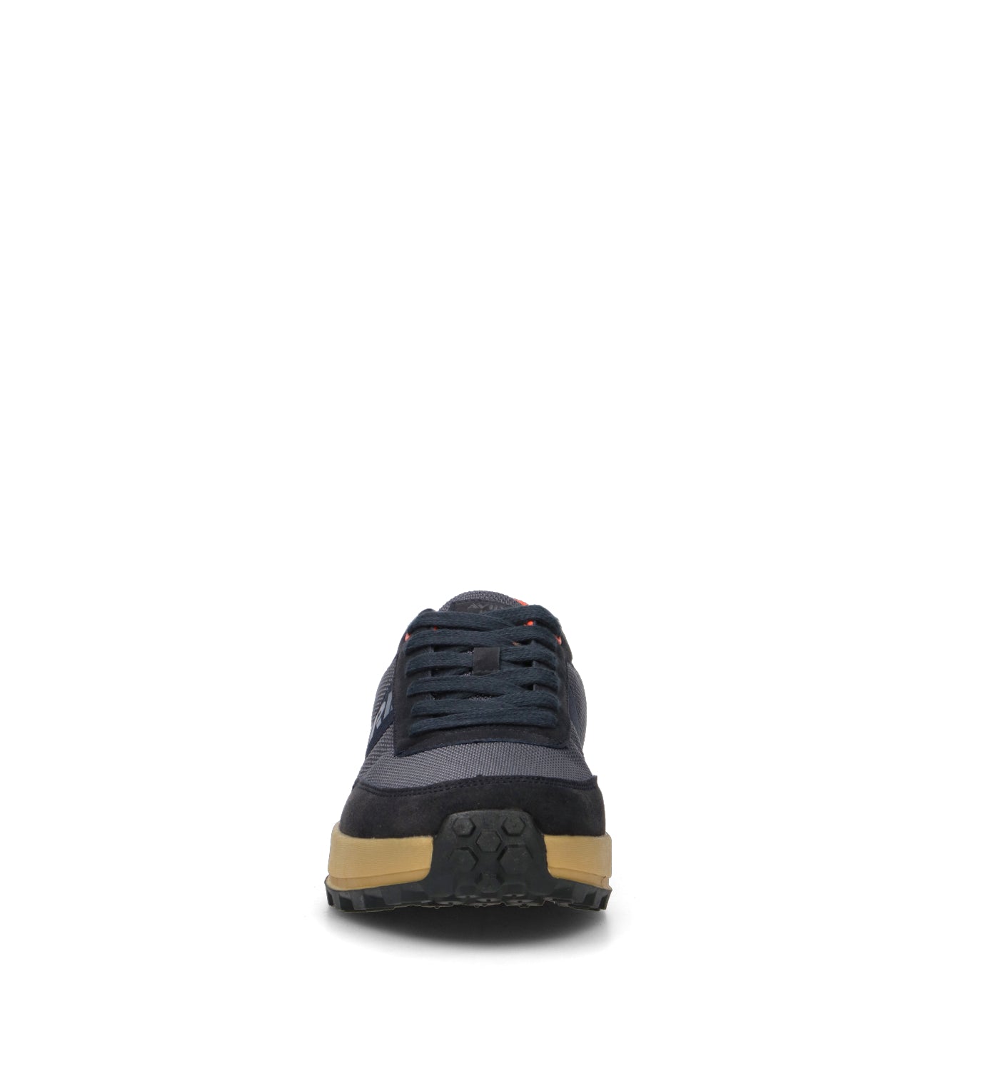 AVIREX Sneaker uomo blu