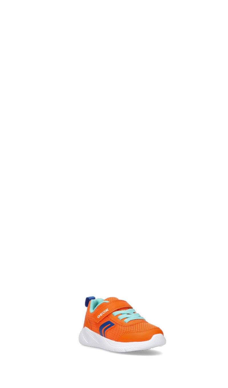 GEOX Sneaker bimbo arancio