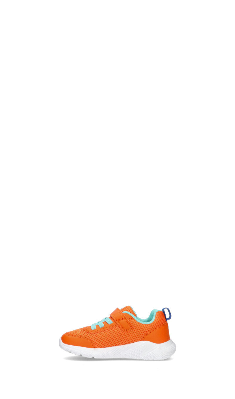 GEOX Sneaker bimbo arancio