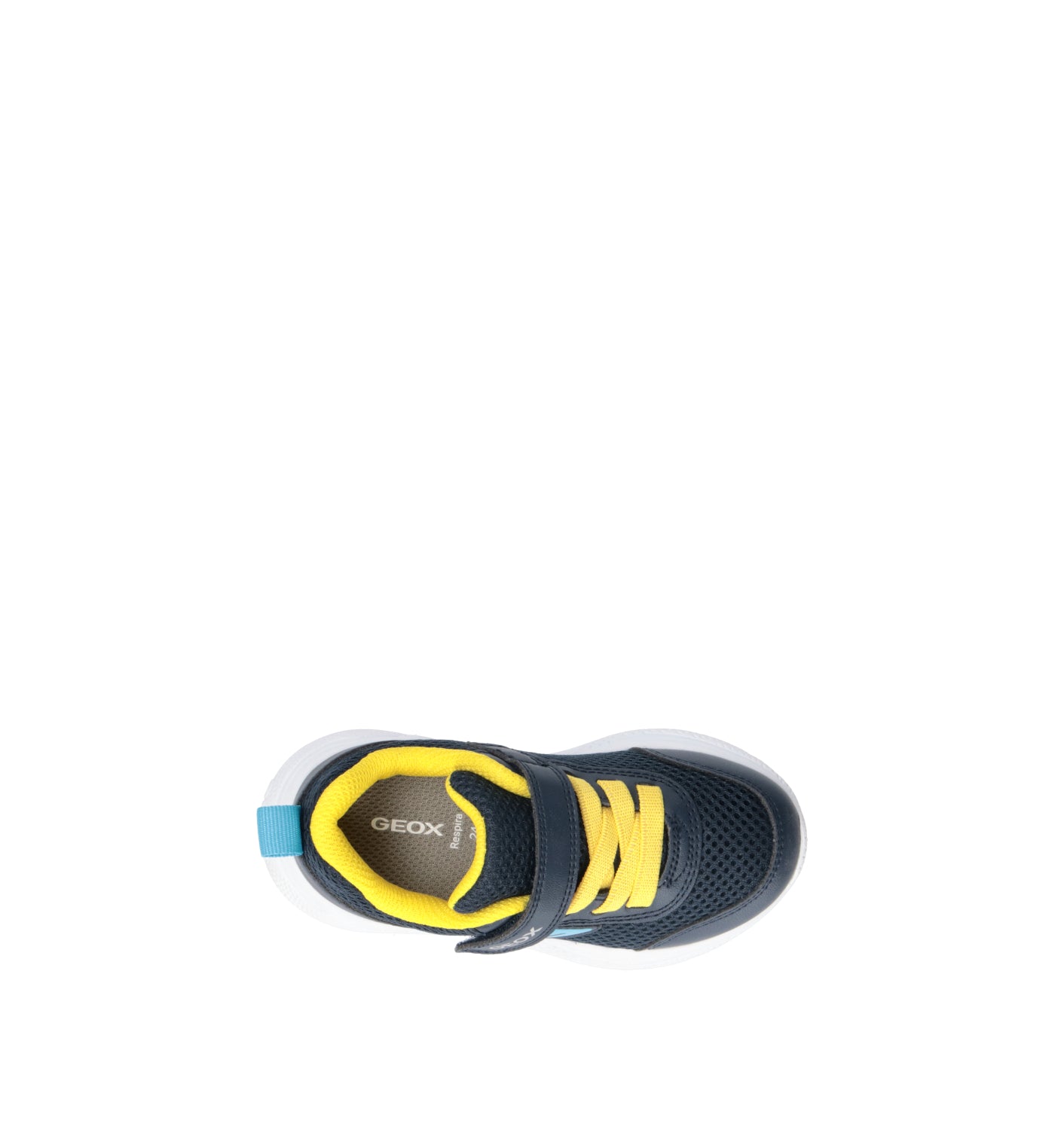 GEOX Sneaker bimbo navy