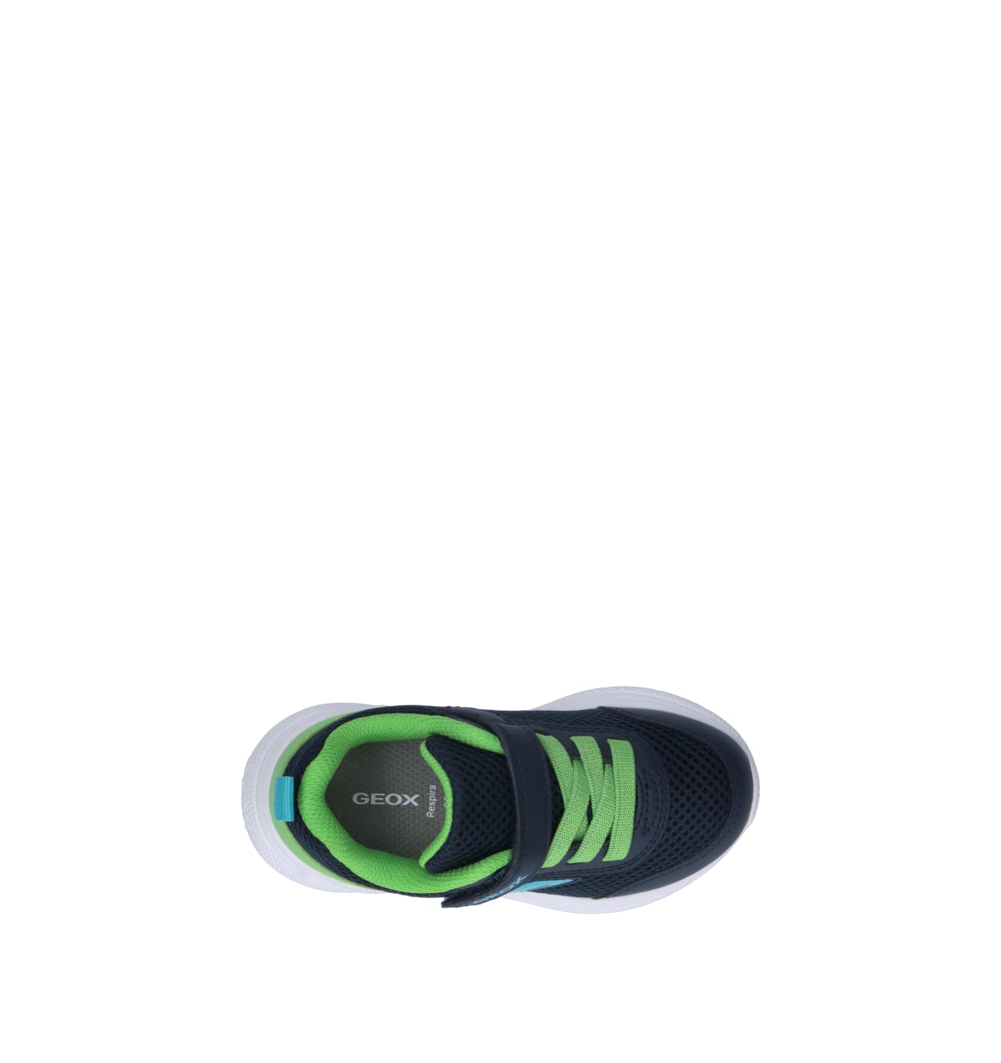 GEOX Sneaker bimbo blu