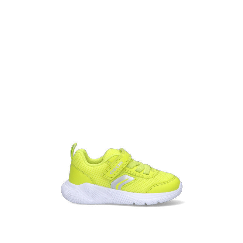 GEOX