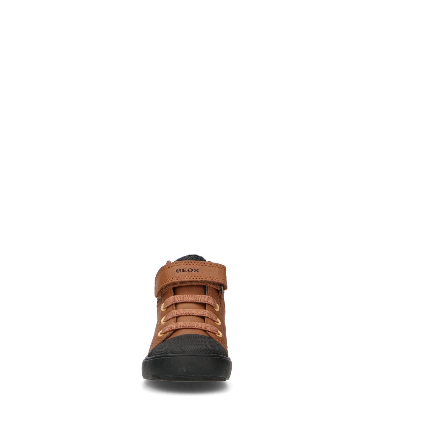 GEOX Sneaker bimbo marrone