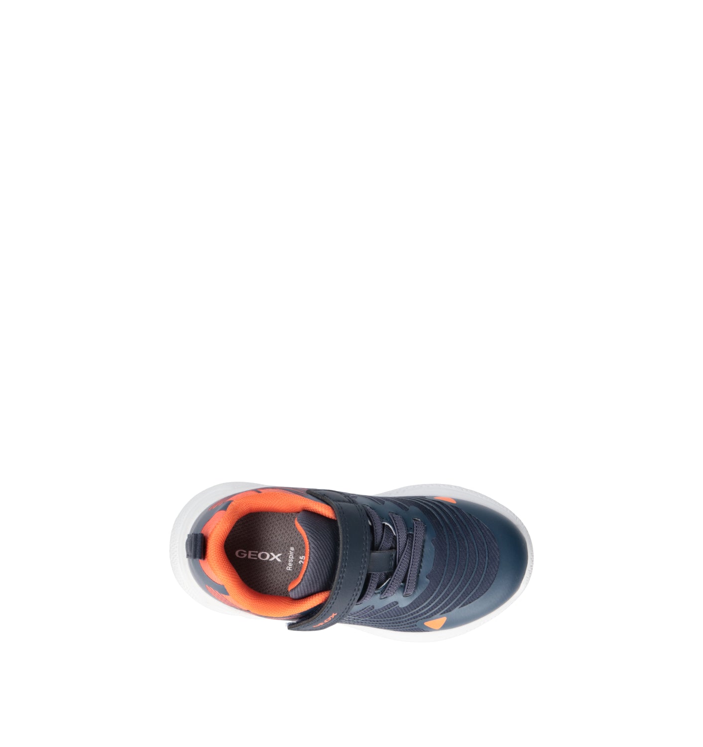 GEOX Sneaker bimbo