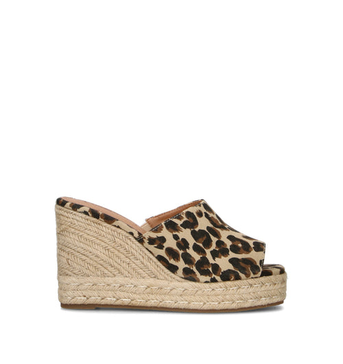 CAFéNOIR Campeggina donna maculata