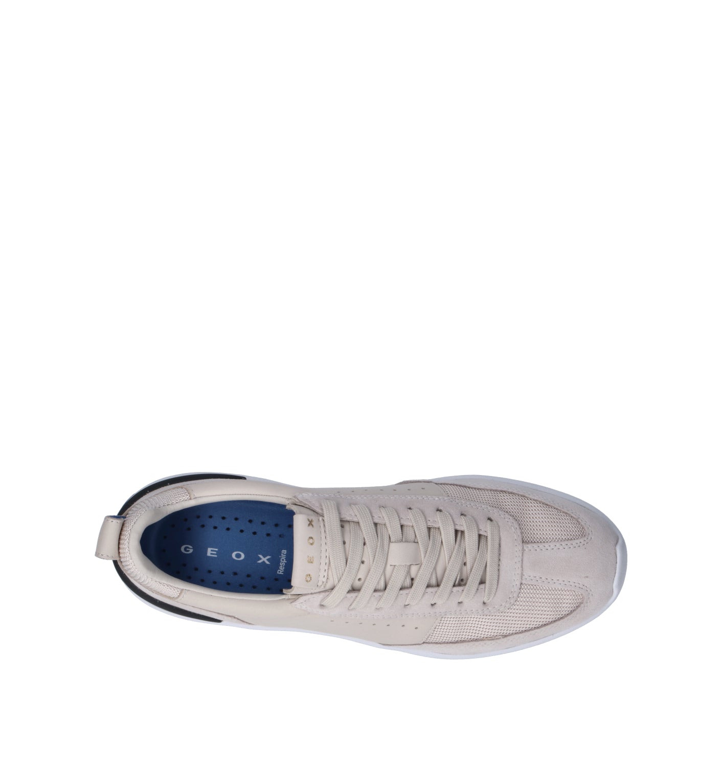 GEOX Sneaker donna panna