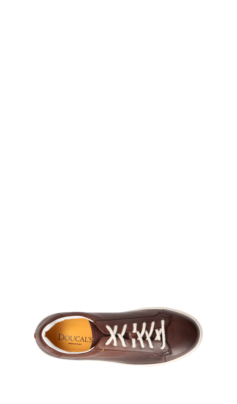 DOUCAL'S Sneaker uomo marrone in pelle