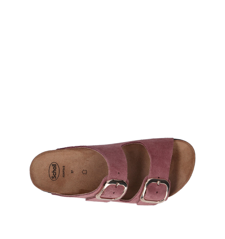SCHOLL Ciabatta donna rosa antico in suede