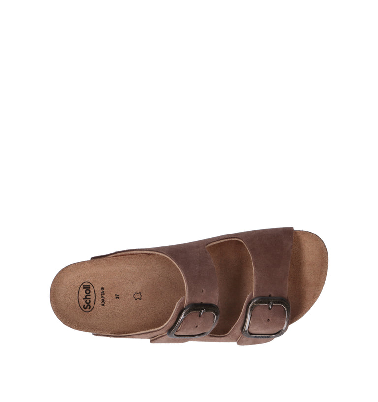 SCHOLL Ciabatta donna taupe in suede