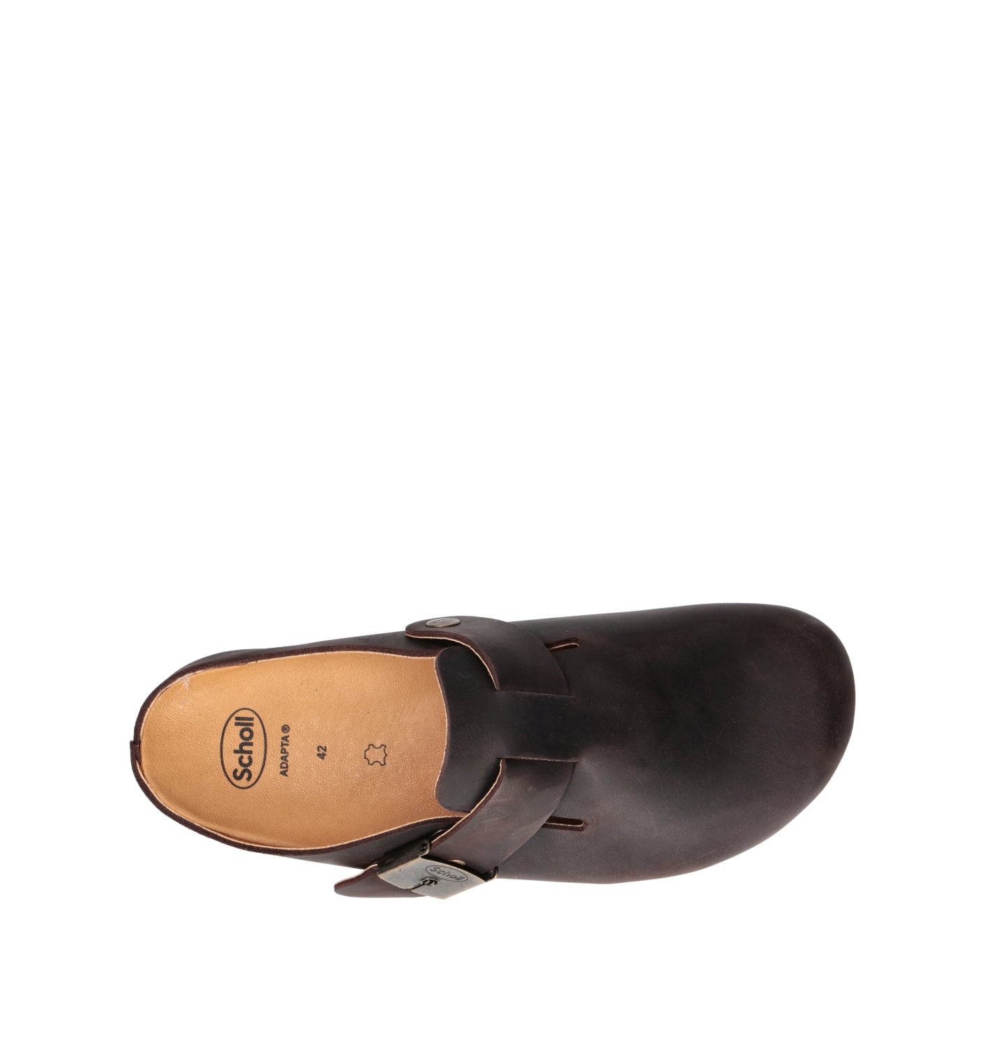 SCHOLL Sabot uomo marrone scuro in pelle