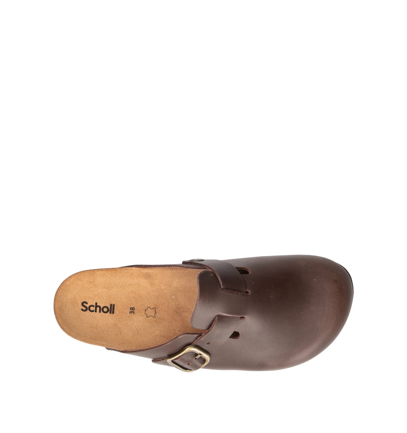 SCHOLL Sabot donna marrone in pelle