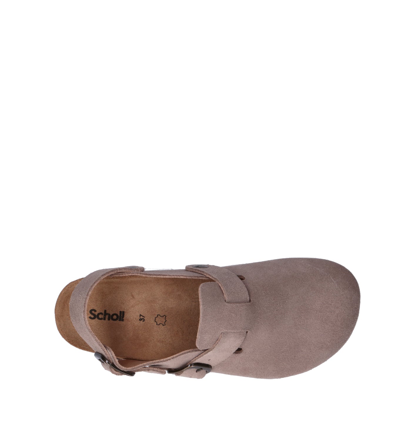 SCHOLL Zoccolo donna beige in suede