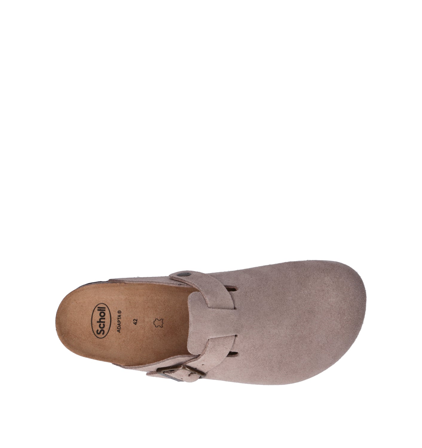 SCHOLL Sabot uomo beige in suede