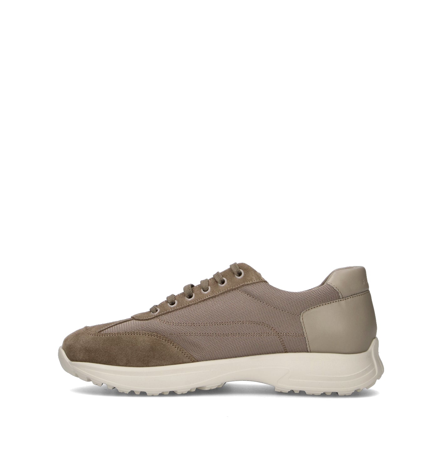 FRAU Sneaker uomo taupe