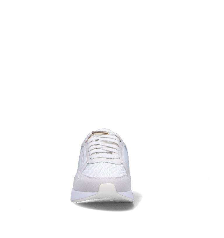 TOMMY HILFIGER Sneaker donna
