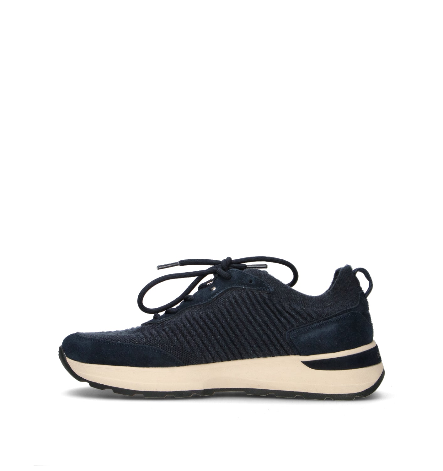 ALBERTO GUARDIANI Sneaker uomo