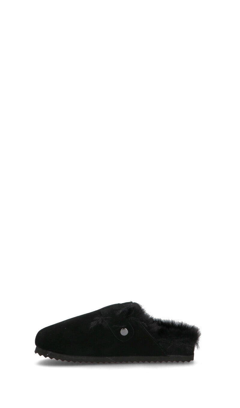 COLORS OF CALIFORNIA