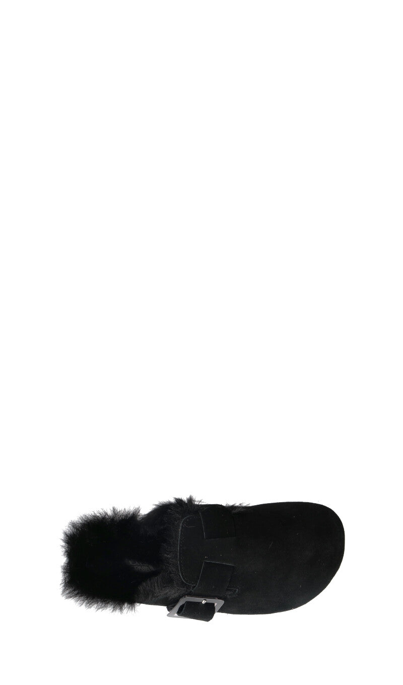 COLORS OF CALIFORNIA