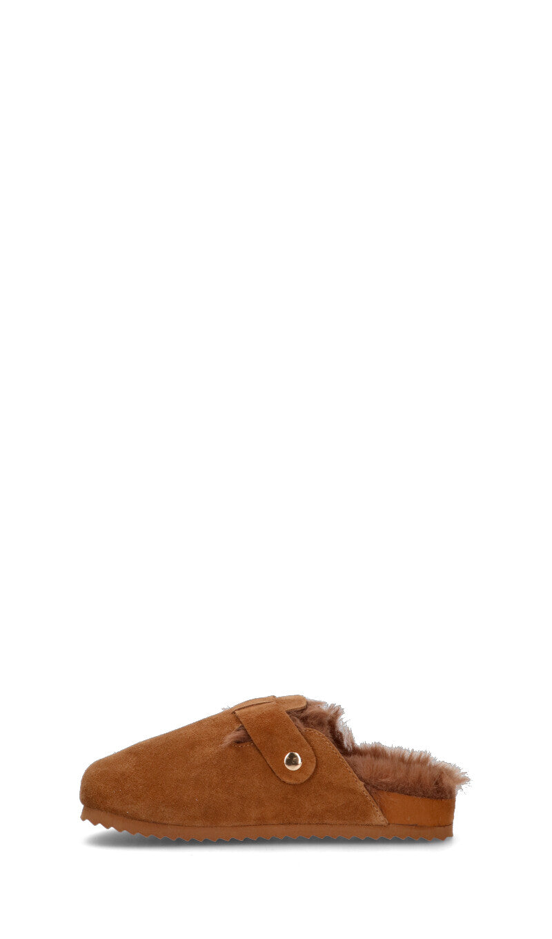 COLORS OF CALIFORNIA