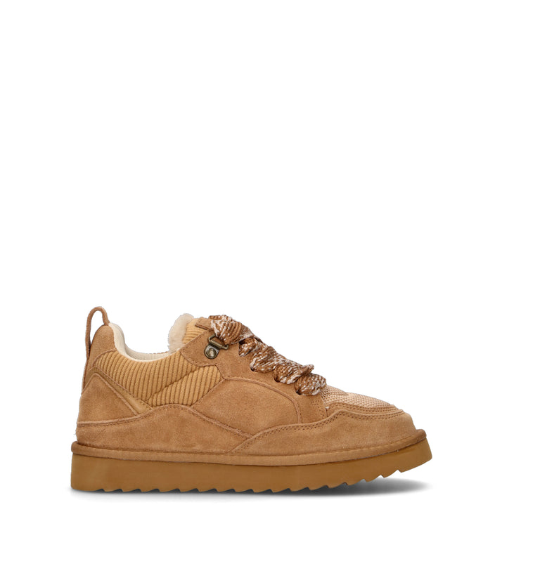 COLORS OF CALIFORNIA Sneaker donna tan in suede