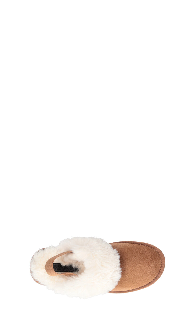 COLORS OF CALIFORNIA Ciabatta donna chestnut in suede