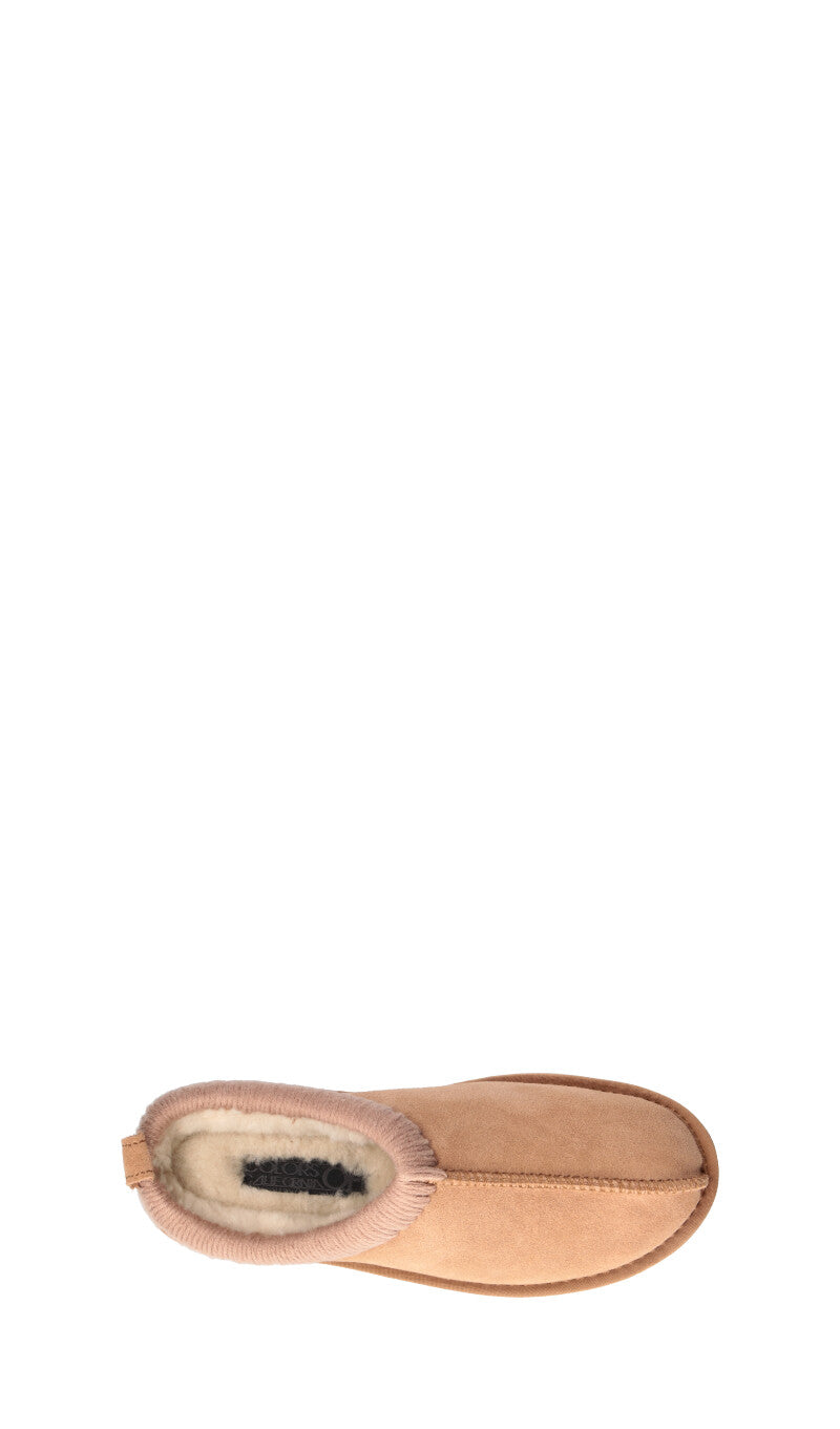 COLORS OF CALIFORNIA