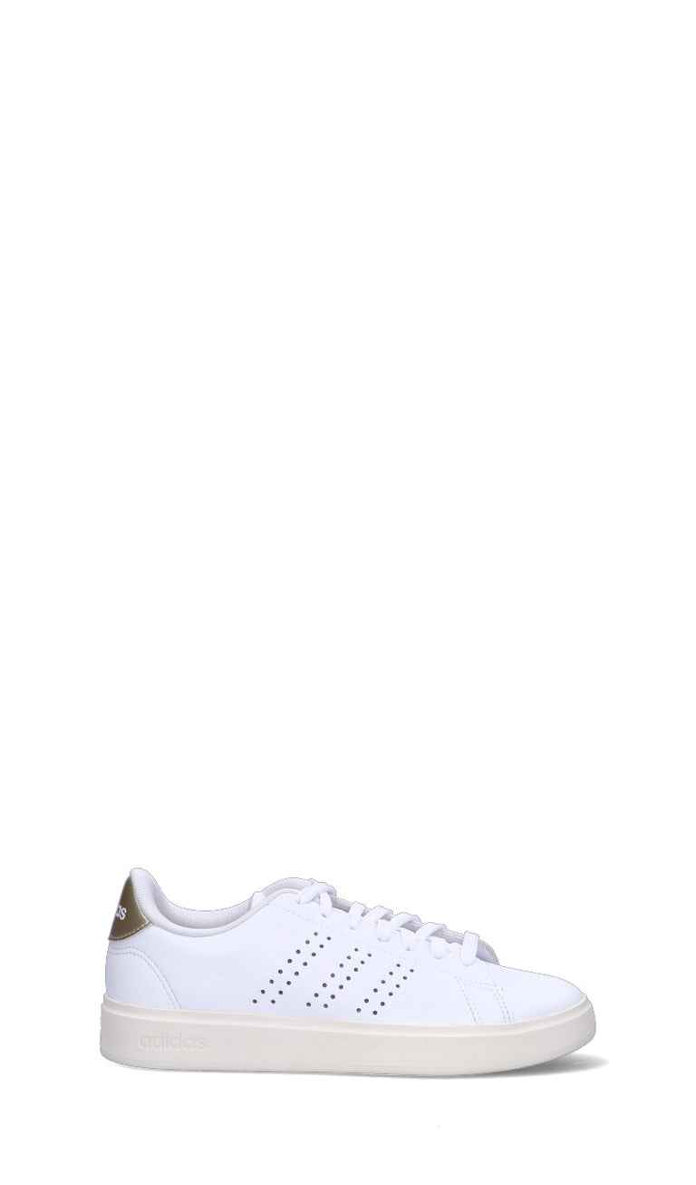 Adidas advantage oro on sale