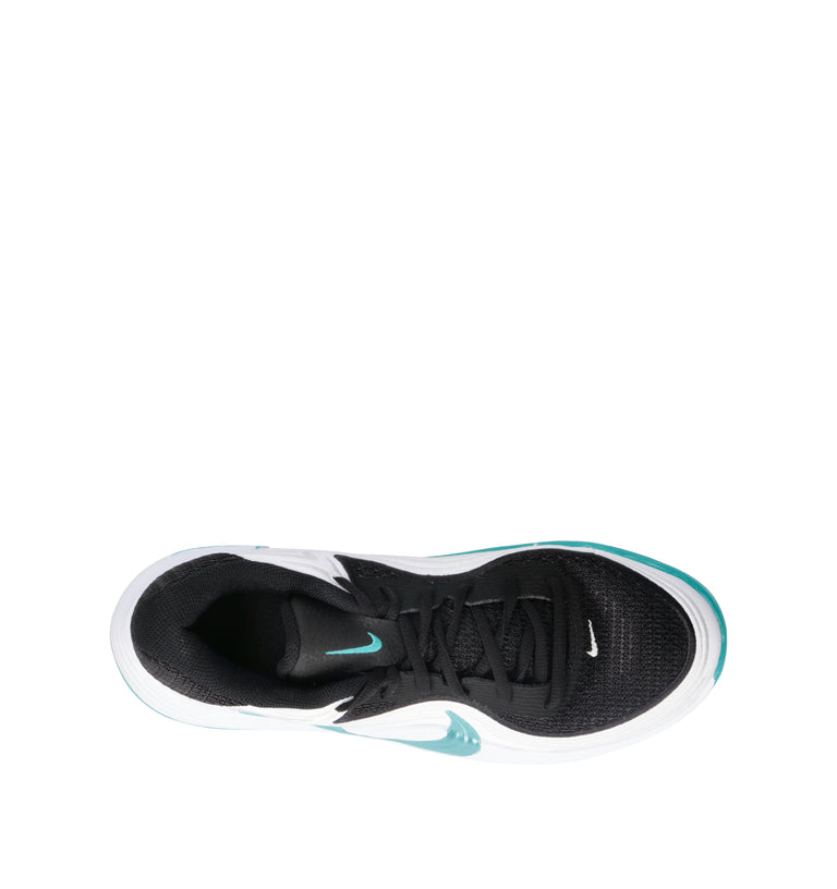NIKE PRECISION 8 LOW Scarpa basket uomo