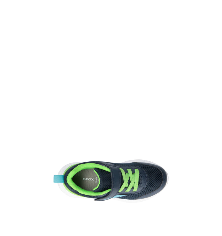GEOX Sneaker bimbo blu