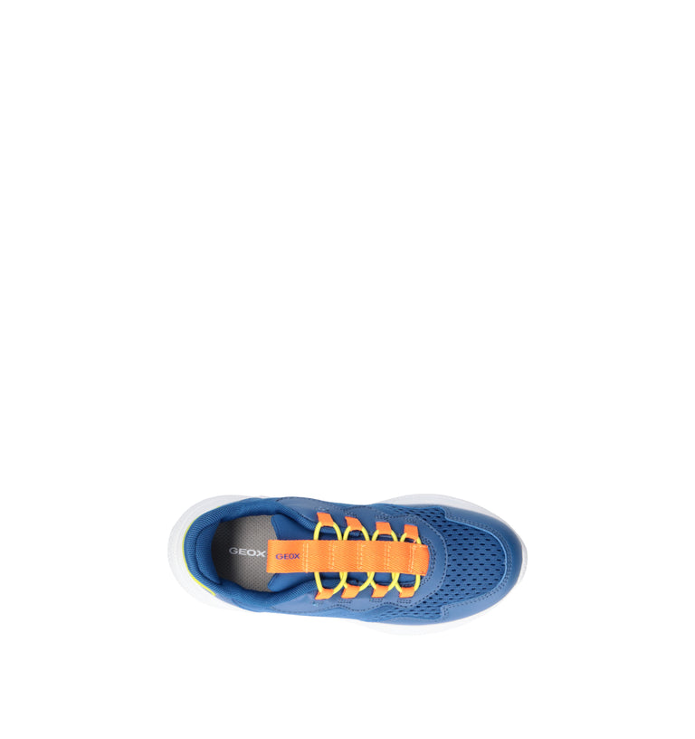 GEOX Sneaker bimbo blu