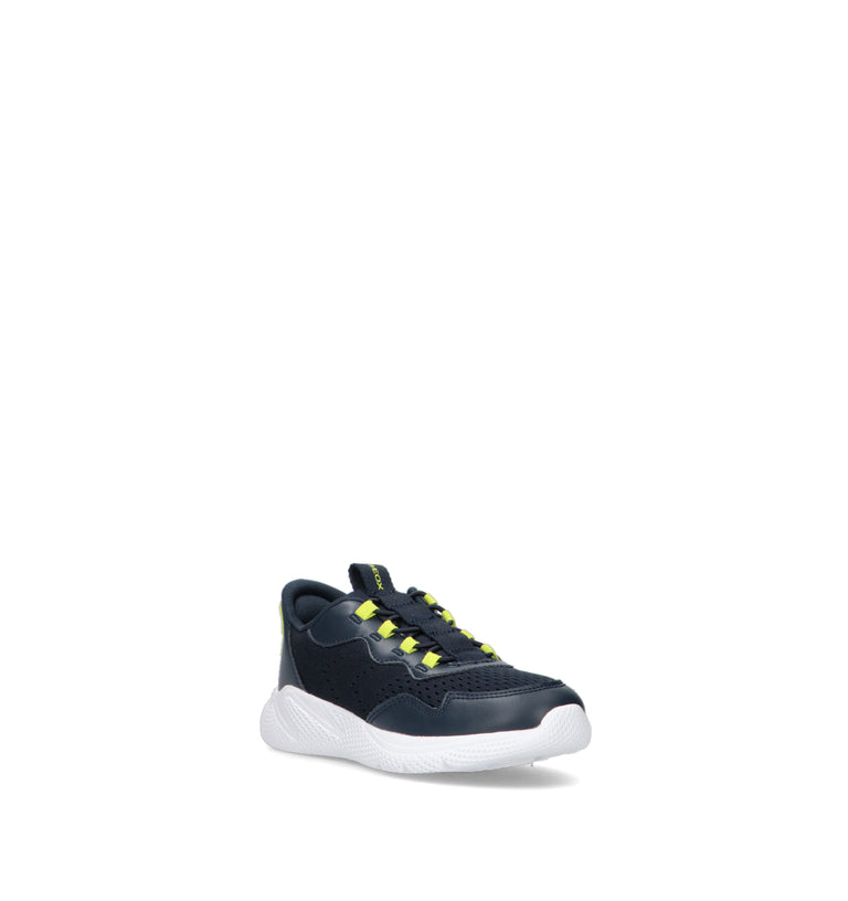 GEOX Sneaker bimbo navy