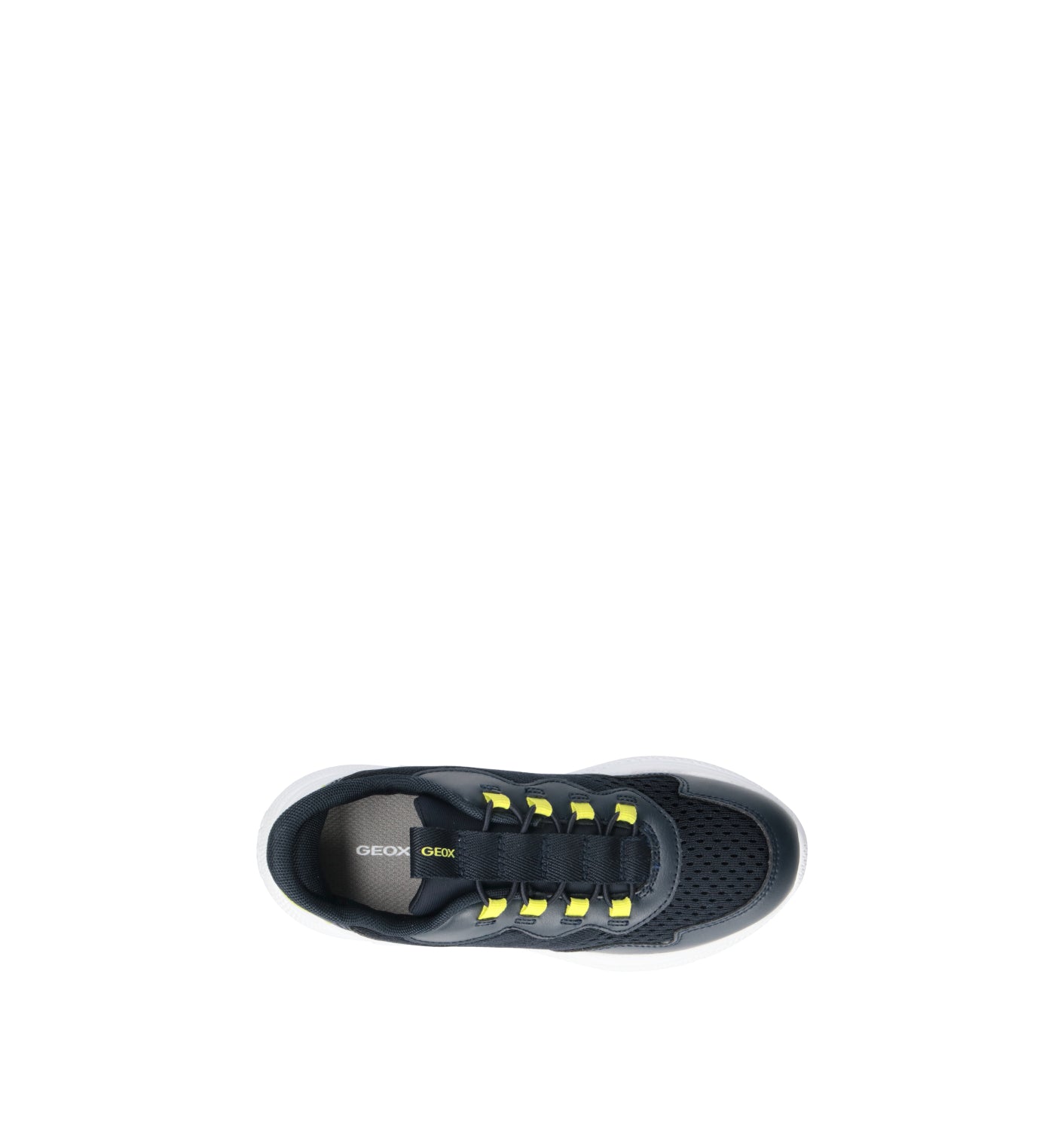 GEOX Sneaker bimbo navy