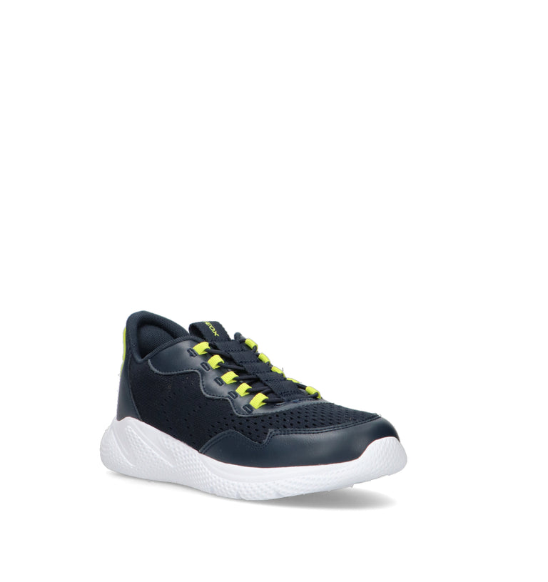 GEOX Sneaker ragazzi blu