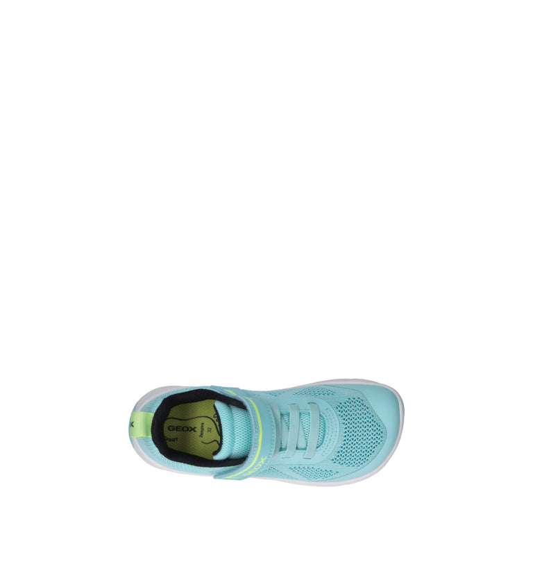 GEOX Sneaker bimbo azzurra