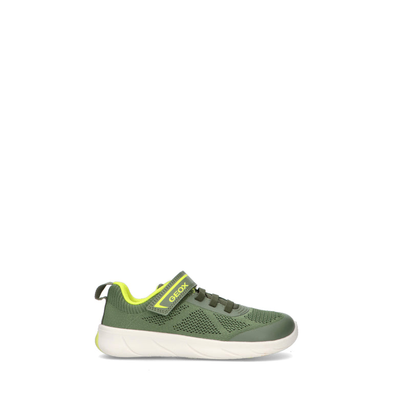 GEOX Sneaker bimbo verde