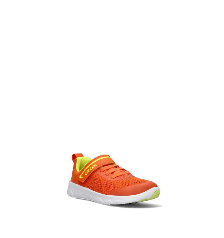 GEOX Sneaker bimbo arancio