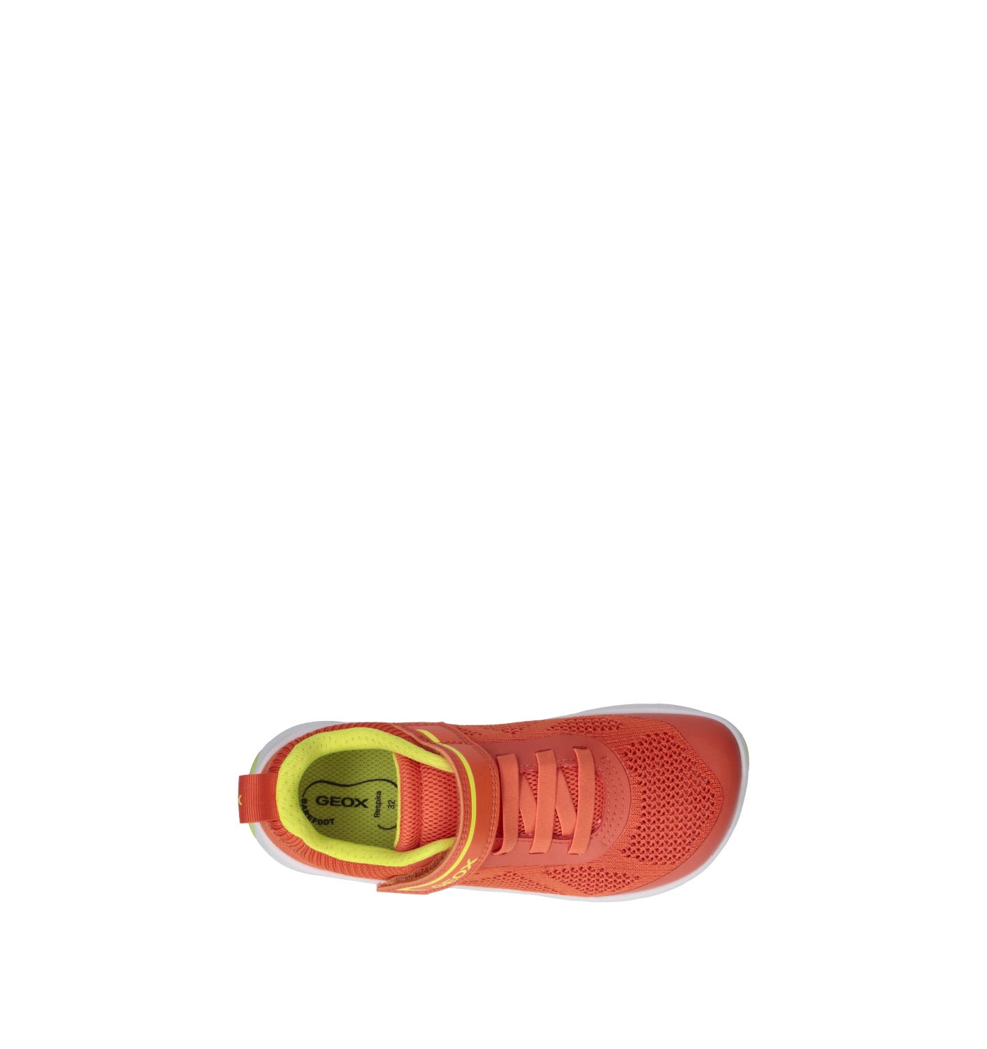 GEOX Sneaker bimbo arancio