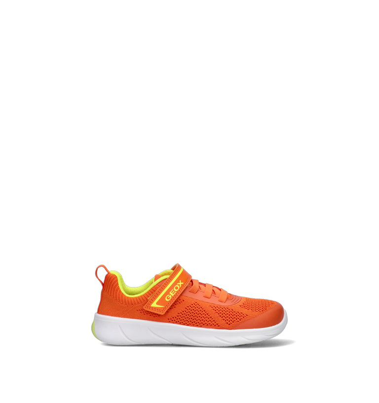 GEOX Sneaker bimbo arancio