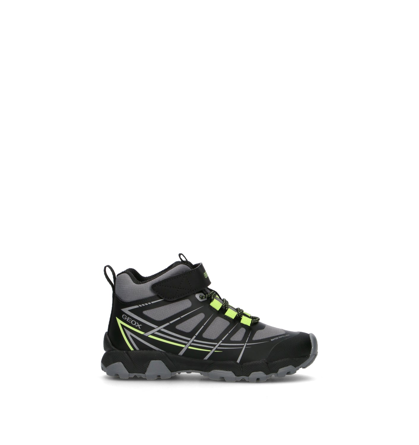 GEOX Sneaker bimbo