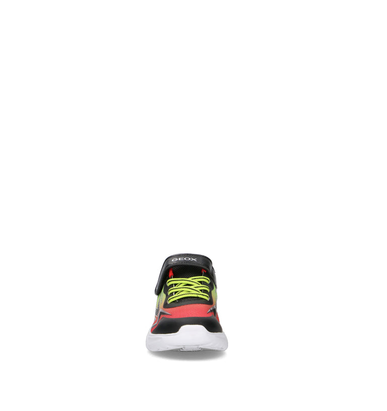 GEOX Sneaker bimbo