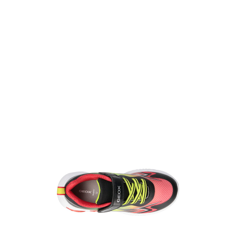 GEOX Sneaker bimbo