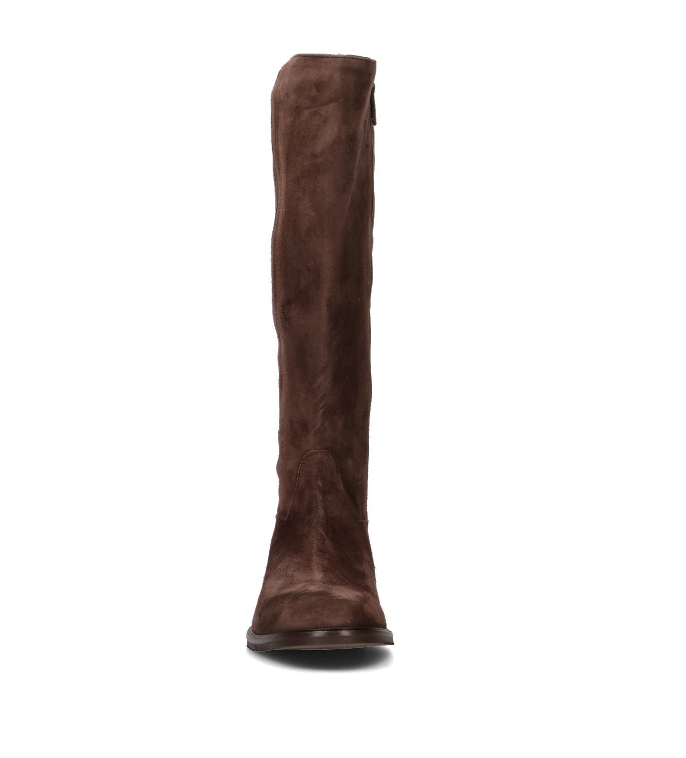 PHIL MELVIS Stivale donna testa di moro in suede