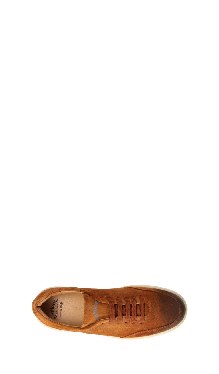 ROBERTO BOTTICELLI Sneaker uomo marrone in suede