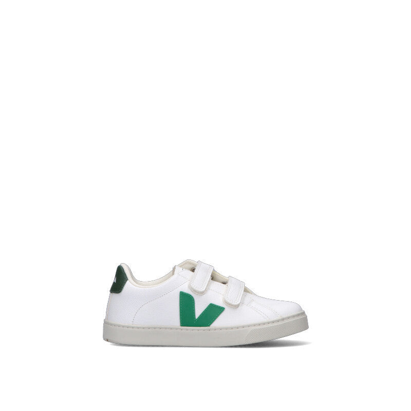 VEJA