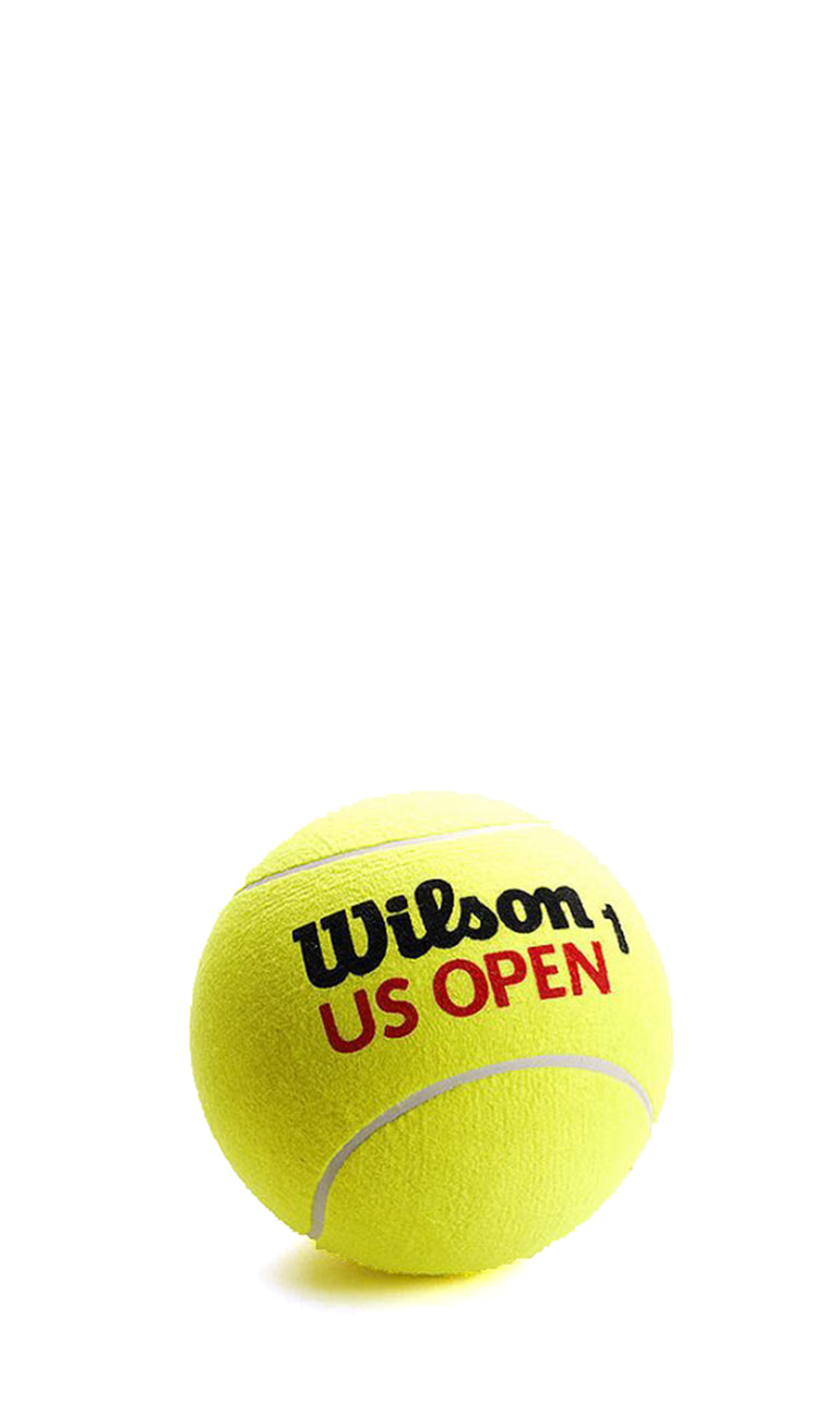 WILSON Confezione palline da tennis